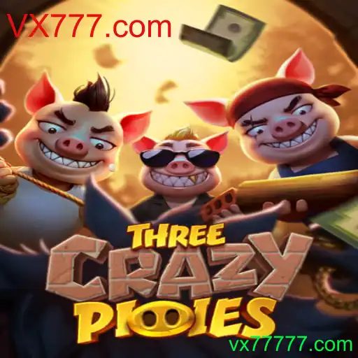 Descubra o Mundo de Entretenimento com ThreeCrazyPiggies no VX777.com